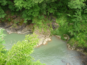 20101221-06.JPG