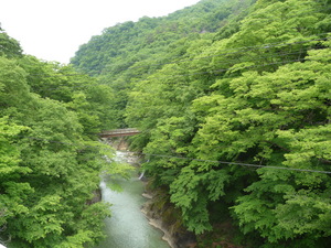 20101221-07.JPG