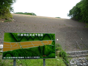 20101225-02.JPG