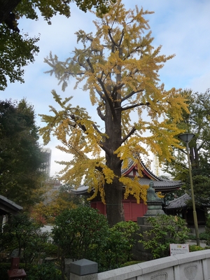 20110507-05.JPG