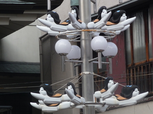 20110507-14.JPG
