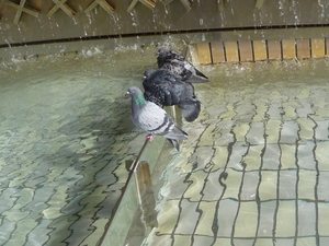20110507-15.JPG