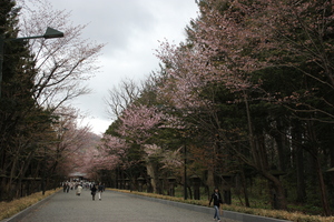 20110508-09.JPG