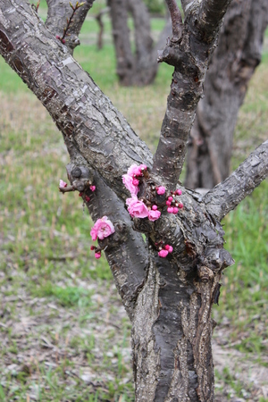 20110508-13.JPG