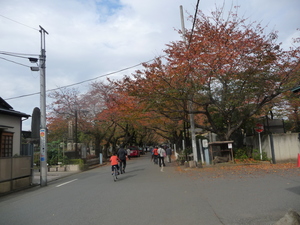 20110518-00.JPG