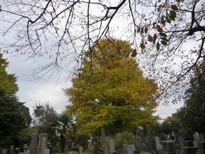 20110518-01.JPG
