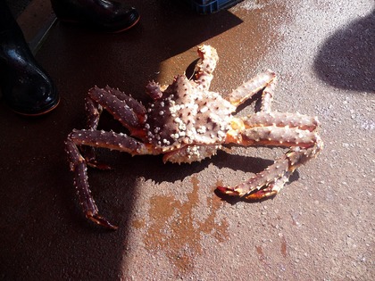 20110828-10.jpg