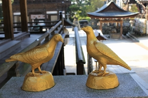 20111101-30.jpg