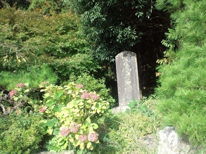 20111102-20.jpg
