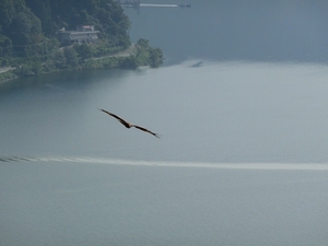 20111102-27.jpg