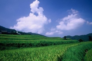 20111102-33.JPG