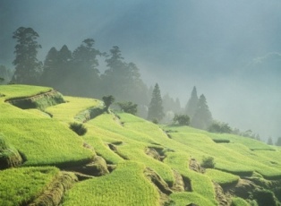 20111102-34.JPG