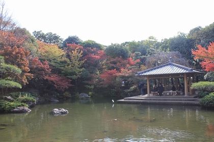 20111129-06.jpg