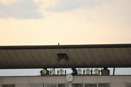 20111219-01.jpg