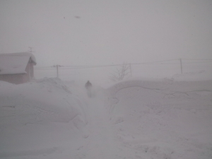 20120212-02.JPG