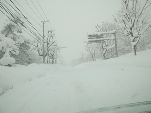 20120212-03.JPG