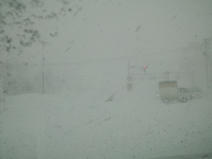 20120212-04.JPG