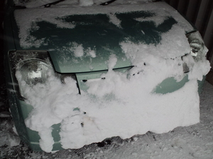 20120212-05.JPG