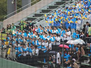20121104-03.JPG