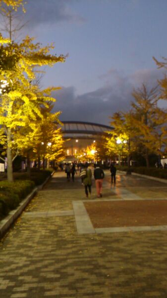 IMG_2012110752906.jpg