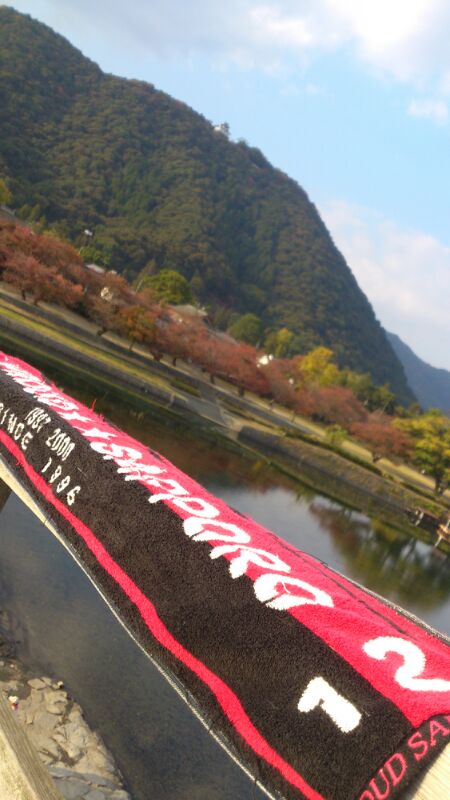 IMG_201211116650.jpg