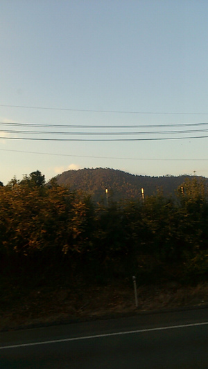20121113-03.jpg