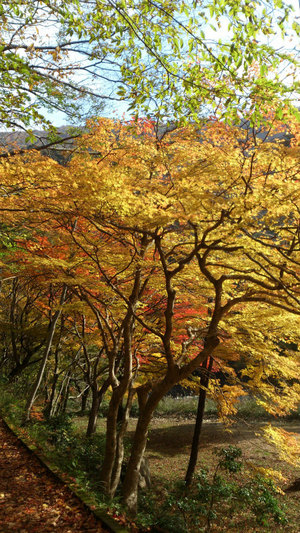 20121121-03.jpg