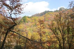 20121121-04.JPG
