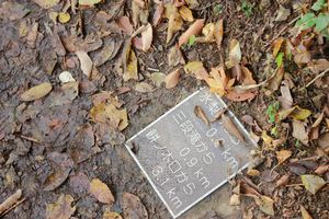 20121121-05.JPG