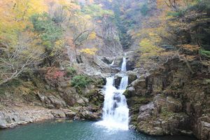20121121-06.JPG