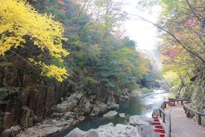20121121-08.JPG