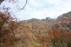 20121121-09.JPG