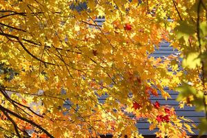 20121121-18.JPG