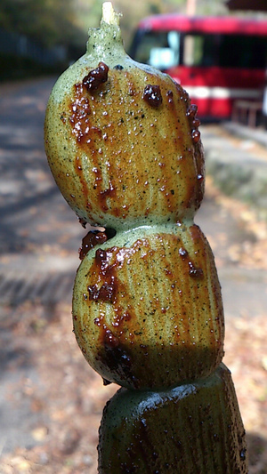 20121121-20.jpg