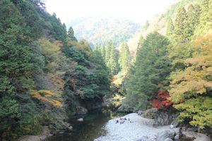 20121127-02.JPG