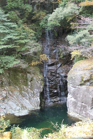 20121127-05.JPG