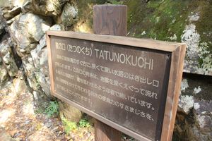 20121127-07.JPG