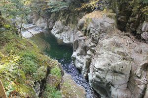 20121127-09.JPG