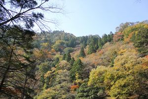 20121127-10.JPG