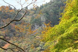 20121127-12.JPG