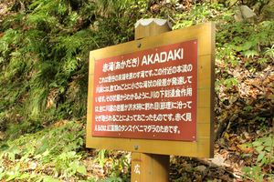 20121127-13.JPG