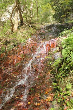 20121127-14.JPG
