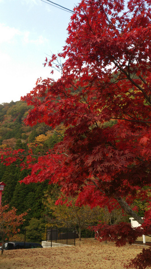 20121127-16.jpg