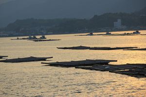 20121128-06.JPG
