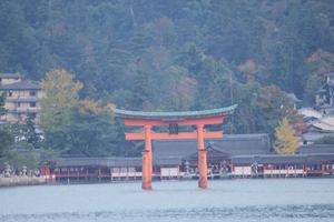 20121128-07.JPG