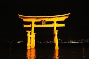 20121129-06.JPG