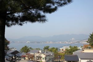 20121209-01.JPG