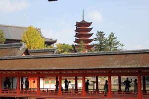20121211-09.JPG