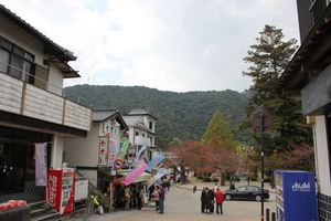 1356155552-121109-143329-IMG_4086_R.JPG