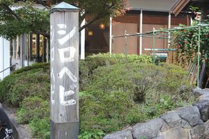 1356155776-121109-144954-IMG_4109_R.JPG